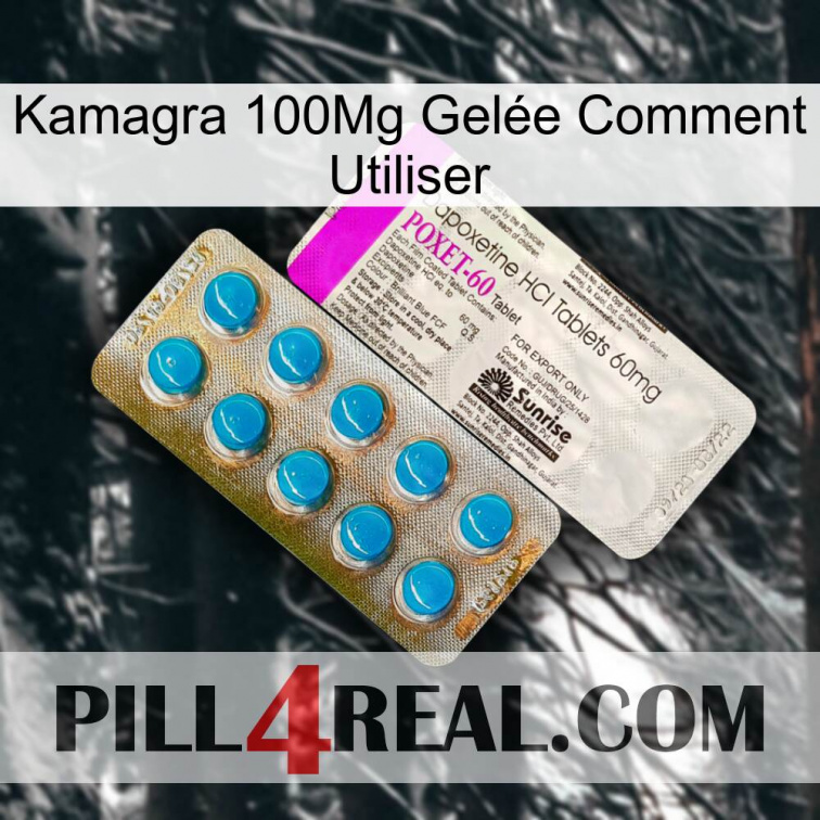 Kamagra 100Mg Gelée Comment Utiliser new07